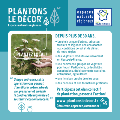 Plantons le décor